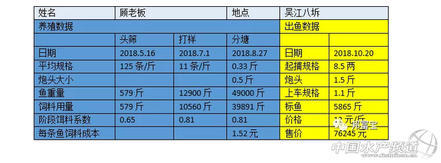 本地水花也可早上市？鲈鱼需要这么养