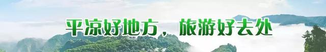 【决战决胜脱贫攻坚】华亭：“党建+合作社”蹚出致富路