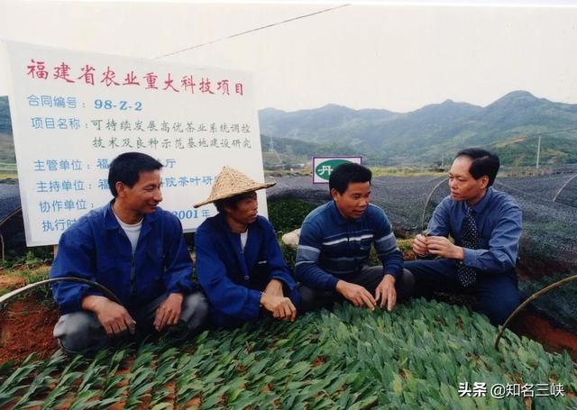 说茶传媒：中国这两个茶苗基地都号称全国最大，到底谁更胜一筹？