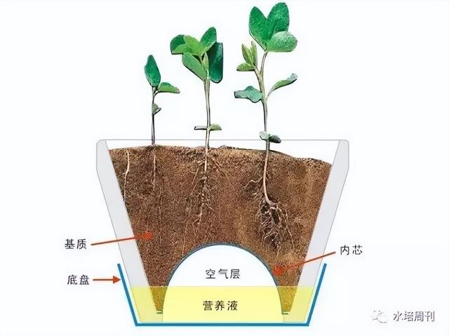 楼顶种植十年回顾（下），二培的出现，让楼顶种植进入新的阶段