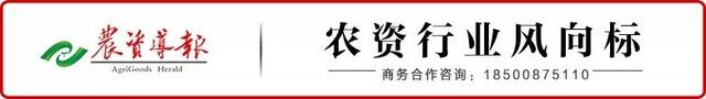 5000橘农集结！金正大2019品质富农中国行唱响眉山春橘