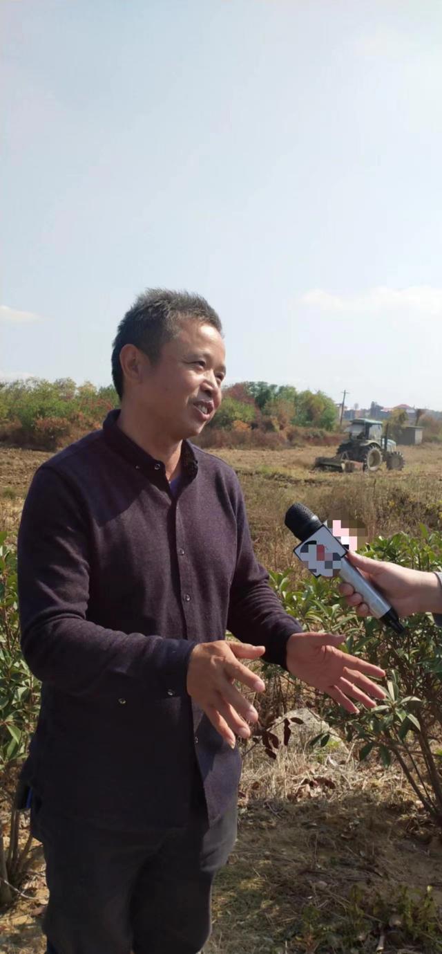 江西南昌县种鸭养殖户巧用水稻秸秆作油菜“有机肥”