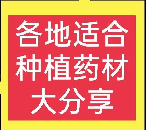 全国各地适合种植什么药材？你想知道的答案在这里，请收藏