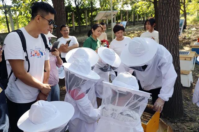 逛市集、学知识，亲子家庭共同感受丰收喜悦