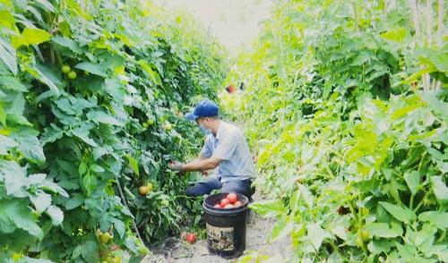 新疆阜康：从“源头”出发保障市场供应需求