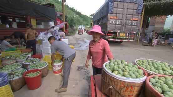 广西灌阳：水果飘香富农家 休闲农业迎客来