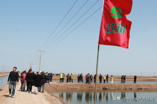 坚持硬规格，只做良心苗！好润：让养殖户拿苗放心、养苗省心！