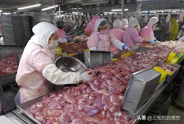 鸭肉的市场前景：被低估的全球肉鸭市场？