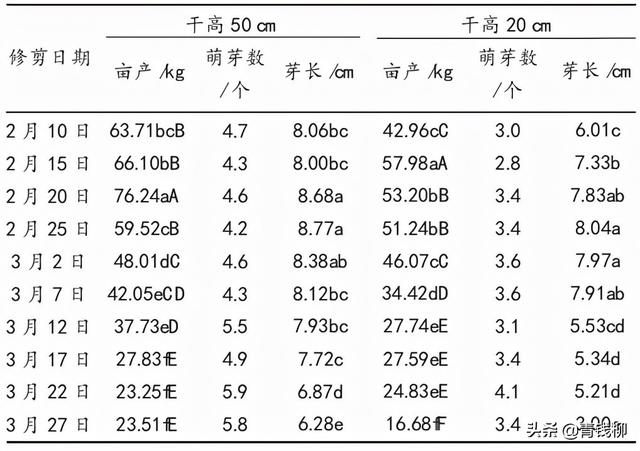 河北省花椒芽菜生产技术规程的研制