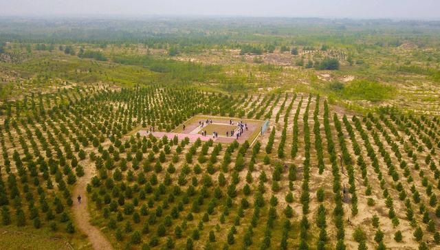 中国发明高效率“吞沙巨兽”，一天吞噬沙漠40亩，已在甘肃使用