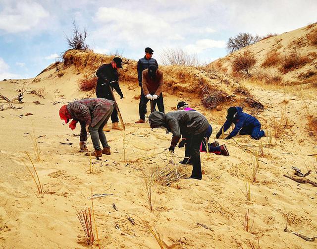 中国发明高效率“吞沙巨兽”，一天吞噬沙漠40亩，已在甘肃使用