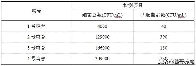 16万蛋鸡场每月保健药花3万多！鸡蛋品质却很差，问题竟出在这里