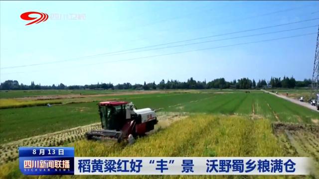 四川新闻联播丨稻黄粱红好“丰”景 沃野蜀乡粮满仓