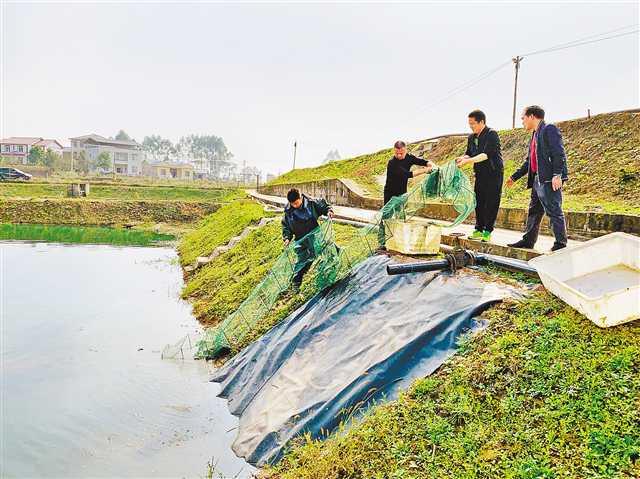 闲置村小变工厂 村民在家办民宿