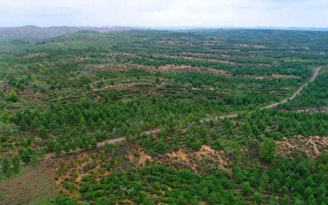 中国发明高效率“吞沙巨兽”，一天吞噬沙漠40亩，已在甘肃使用