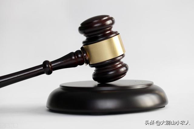 西湖30多只甲鱼被放生，是“积德”还是杀生？会受到处罚吗？