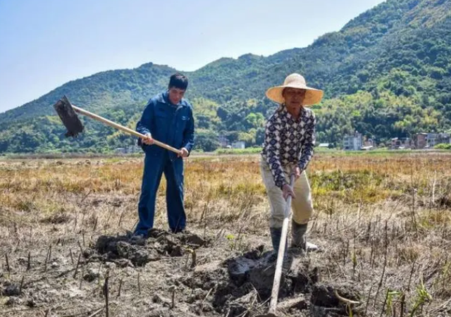 农村土地谁开荒就归谁？村委会收回农民荒地该咋办，会有赔偿吗？