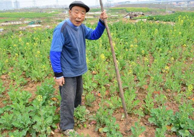 农村土地谁开荒就归谁？村委会收回农民荒地该咋办，会有赔偿吗？