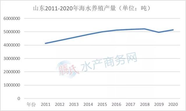 海水养殖越来越火！福建赶超山东，辽宁直追广东