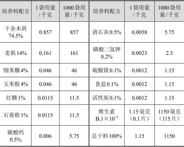 福建反季节覆土袋栽香菇法，老农来和你们说说，怎么才能增产