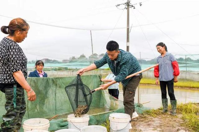 泥塘里的“蛙”青年——记怀化市煜翔青蛙养殖专业合作社技术负责人尹煜翔