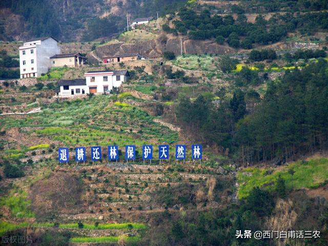 9月1日起，在耕地上栽树是否违法，会罚多少钱？农民朋友赶快了解