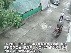 枣庄肉狗养殖(山东枣庄一男子骑车偷狗，逃跑时被拍一铁锹，网友：打出事算谁的)