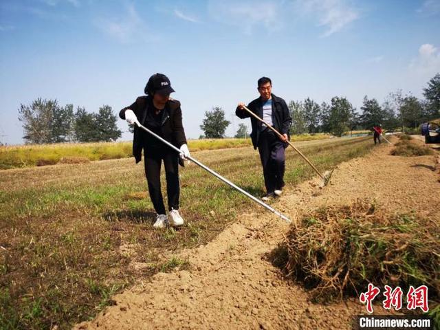 三年种植万亩中药材 千年古镇村民有了增收新路径