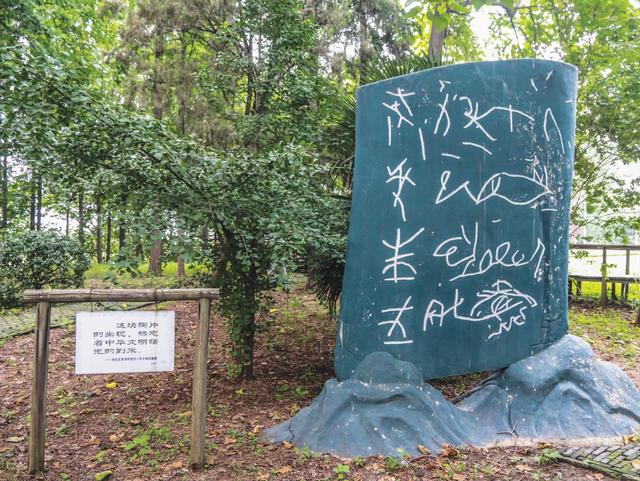 蘇从哪里来｜龙虬庄遗址，这里发现中国最早的栽培稻