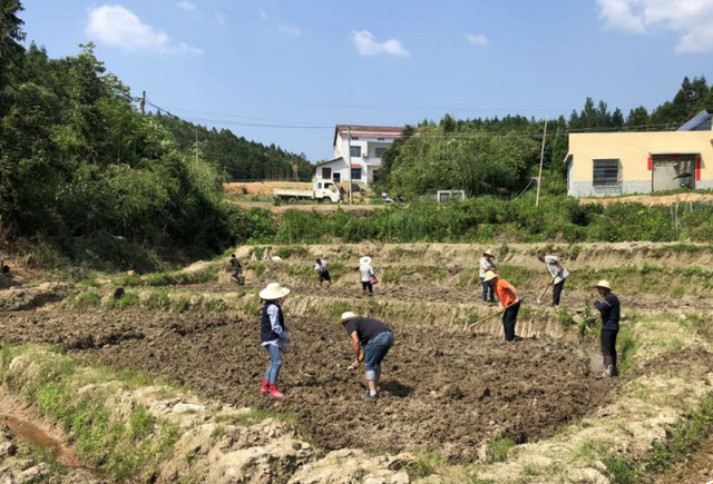 农村土地谁开荒就归谁？村委会收回农民荒地该咋办，会有赔偿吗？