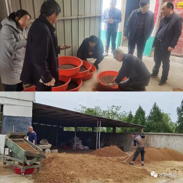 淅川县香花镇：土元养殖小产业 带动集体经济大发展