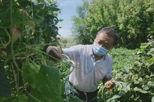 新疆阜康：从“源头”出发保障市场供应需求