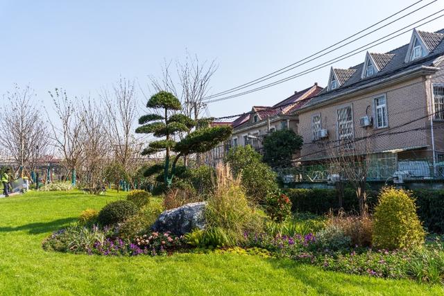 走，春暖花开植树去！九里亭街道打造城市“小森林”