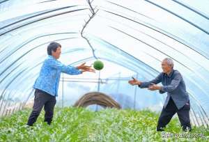 沭阳西瓜种植基地(沭阳县潼阳镇：党建赋能谱写新时代乡村振兴新篇)