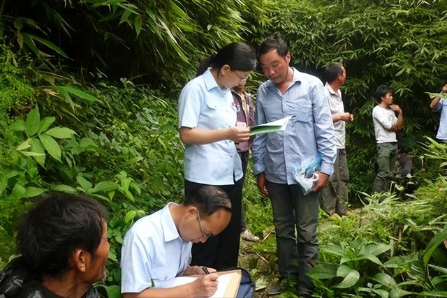 云南一对农民合伙在林地种植，结果被告上法庭！