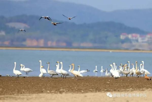 8个月后，鄱阳湖终于“解渴”了