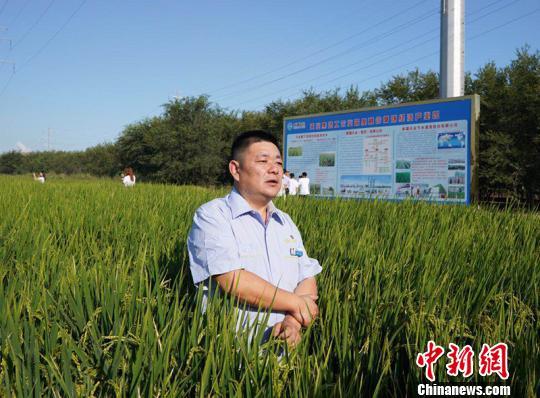 新疆兵团膜下滴灌水稻栽培技术疆内外成功进行大田示范