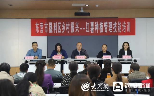 技术培训不止步 “授人以渔”促增收 垦利区兴隆街道开展红薯种植管理技能培训会