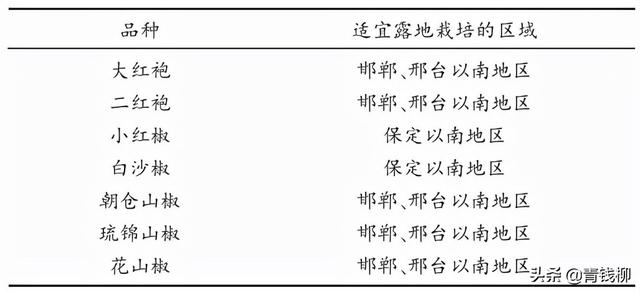 河北省花椒芽菜生产技术规程的研制