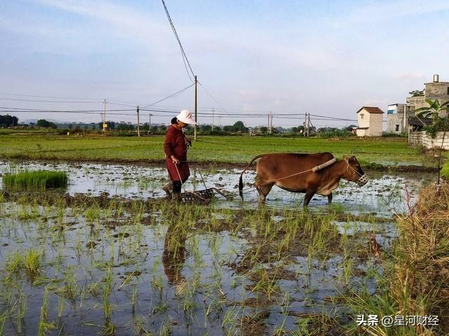 2023年刚过没多久，又有专家出来聚众哗宠，连央媒都看不下去