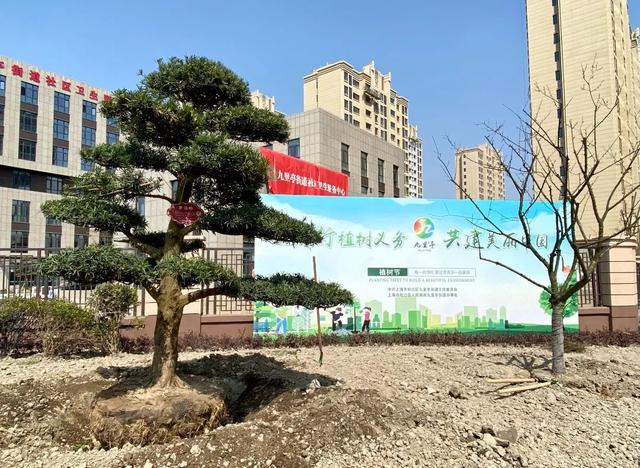 走，春暖花开植树去！九里亭街道打造城市“小森林”