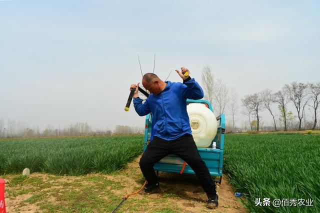 中药材芍药春季管理技术，4个窍门全面概括，种植户掌握不求人