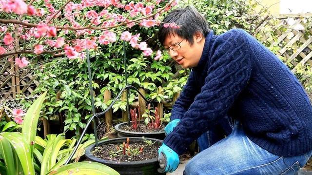 芍药承春宠，必种阳台上，为你呈上十拿九稳的开花秘笈