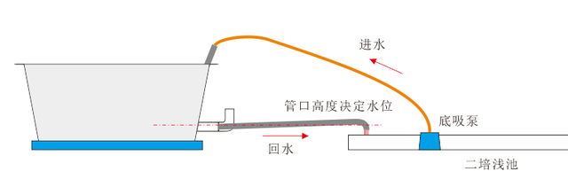 又一种二培方式，楼顶种树更简单