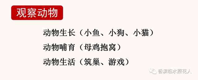 【思维导图画作文——四上习作】周唯《绿豆芽观察日记》（十一）