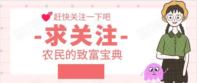 园林绿化树苗木的培育技术，效益可观！来学一下