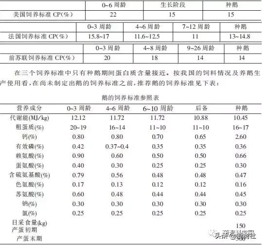 鹅的饲养标准，这样养鹅能发家？