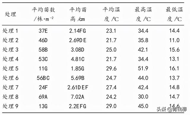 河北省花椒芽菜生产技术规程的研制