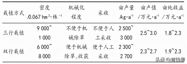 河北省花椒芽菜生产技术规程的研制