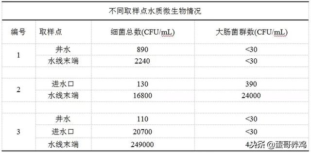 16万蛋鸡场每月保健药花3万多！鸡蛋品质却很差，问题竟出在这里